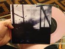 More Than Life Brave Enough To Fail Dead Swans Mtl Purgatory Records