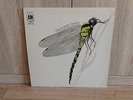 STRAWBS Dragonfly Psych Prog Folk Country Rock UK 1970 AMLS 970  MINT