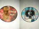 THE GATHERING ---  original 1995 MANDYLION Picture Disc LP Tiamat