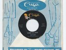 PRIVATE 1966 WI Rockabilly/Garage 45 - RAYLENE 