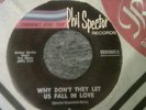 Soul - Veronica (Ronnie Spector) - Why Don't They Let Us Fall In Love - Ronettes
