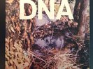 LP: DNA, A TASTE OF DNA