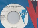 ROZ RYAN I CAN'T SEE NOTHING BUT GOOD  YOUR MY TEMPTATION VOLT 45 1970 SOUL NM