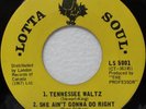 Rare Northern Soul 45 - Lotsa Poppa / The Professor 'Tennessee Waltz' LOTTA SOUL