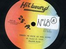 Patrick Andy - Tired Fe Lick It In a Bush JA orig 10