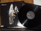 The Courteeners - Falcon vinyl LP