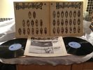 HOW BLUE CAN WE GET? D/LP 1970 BLUE HORIZON 1st + BOOKLET