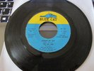 Northern Soul, The Ad Libs, Johnny My Boy,  on Blue Cat
