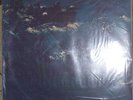 The Avalanches Since I Left You vinyl LP