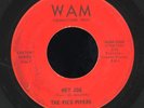 THE PIED PIPERS 'Hey Joe' Youngstown Ohio Private Garage 45 HEAR