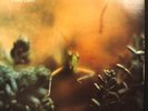 STEELY DAN Katy Lied ABC 846 LP White Label Promo Mint