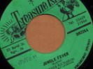 TREASURE ISLE KILLER FUNK 45 RPM CYNTHIA RICHARDS JUNGLE FEVER/CLEAN UP WOMAN ?