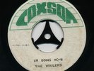 I'M GOING HOME  Bob Marley & THE WAILERS ( Upbeat Ska Vocal ) ?