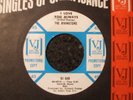 NORTHERN - THE RIVINGTONS - I LOVE YOU ALWAYS - VEE JAY - PROMO - LISTEN