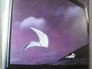 IL VOLO  Essere O Non Essere?  rare Italian prog lp German Ariola press