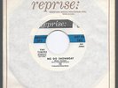 THE TIMERS   NO GO SHOWBOAT / COMPETITION COUPE   SURF 45 BRIAN WILSON