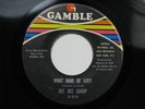 DEE DEE SHARP What Kind Of Lady GAMBLE NORTHERN SOUL 45 HEAR NM