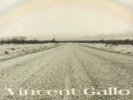 Vincent Gallo - When Vinyl