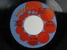 PAT LEWIS No One To Love on SOLID HIT RARE DETROIT NORTHERN SOUL 45 HEAR