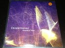 Desertshore ORANGE VINYL Drawing Of Threes LP Record ( Sun Kil Moon Mark Kozelek