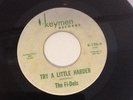 The Fi-dels - try a little harder - northern soul