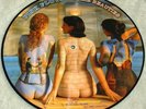 PINK FLOYD     RARE BEAUTIES    NEW & UNPLAYED   VINYL PICTURE DISC LP