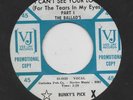 THE BALLAD'S-I CAN'T SEE YOUR LOVE-VEE-JAY-***DEMO***-***NICE COPY***