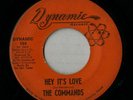 Commands 