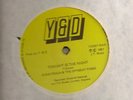 TONIGHT IS THE NIGHT / DIXIE PEACH 12' ORIGINAL Y & D LABEL DIGITAL 87 BOOM TUNE