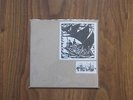 Piebald 7