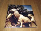 Interpol Our Love To Admire Double Vinyl LP