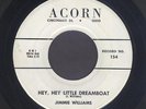 Rockabilly 45:  Jimmie Williams  Hey Little Dreamboat // RARE OHIO HILLBILLY BOP