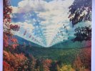 Tame Impala ORIGINAL Innerspeaker double LP 45 RPM gatefold sleeve 1st pressing