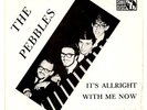 THE PEBBLES-GREAT STOMPING 1966 BELGIUM BEAT (Swedish release) PS