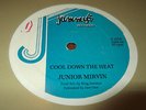 Junior Murvin Cool Down The Heat Rare Killer Digi 12