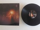 SENSES FAIL - Renacer LP PURPLE VINYL /500 fall out boy paramore thrice converge