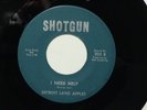 northern soul DETROIT LAND APPLES I Need Help SHOTGUN hear soundcclip