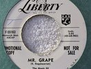 David Seville Mr Grape The Mountain DJ 45 Mod R&B Popcorn Instro Exotica Rocker