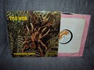 THE WEB..theraphosa blondi..Psych..1969 UK press..Deram rec. MONO..NM...