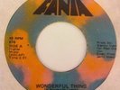Ralfi Pagan   Wonderful Thing   Fania - Rare Latin Soul Rock 45 EX+