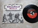 BUFFALO SPRINGFIELD 7