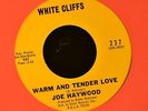 Joe Haywood White Cliffs 237 Warm and Tender Love and I would if I Could