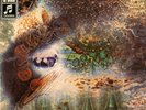 LP:Pink Floyd,A Saucerful Of Secrets[NM] (EMI Columbia)