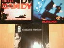 Vinyl record The Jesus and Mary Chain