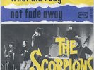 Scorpions What did I say UK 65 Freakbeat garage 45 Dutch only PS