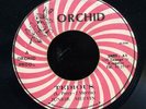 Junior Murvin - Tedious JA orig 7