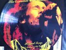 BOB MARLEY & THE WAILERS PICTURE DISC VINYL RECORD REGGAE GOOD CON