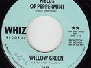 WILLOW GREEN - Whiz 619 - Fields of Peppermint / instrumental - 1970 ROCK 45 VG+