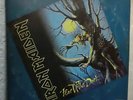 IRON MAIDEN - Fear of the Dark (Mega rare 1991 Record 12