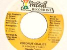 DEWAH CONGO-COCONUT CHALICE - KILLA JAM45s -SAMPLE 